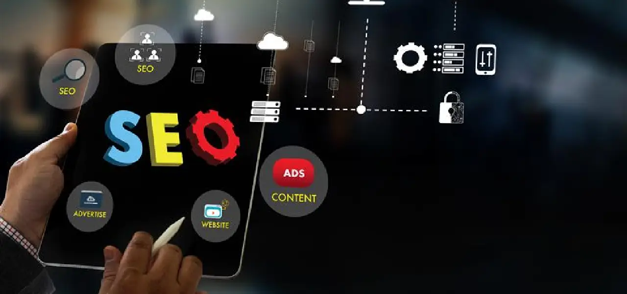 best-web-development-and-seo-services-in-new-delhi-for-business-growth